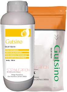 Gutsino