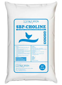 SBP-Choline